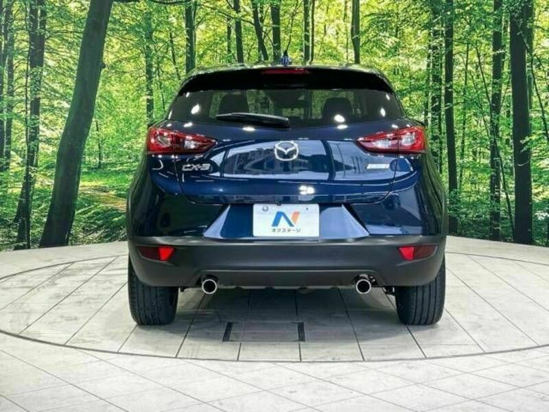 CX-3-15