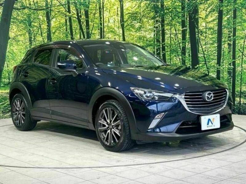 CX-3-16