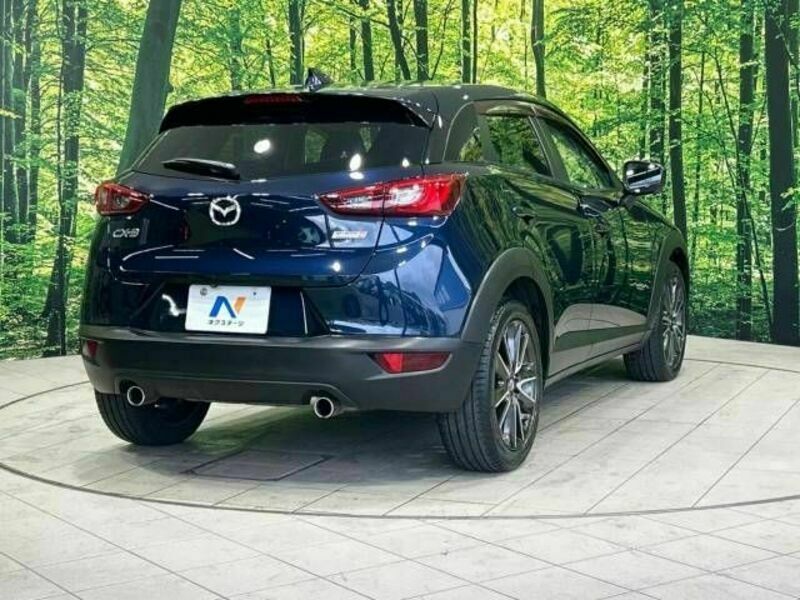 CX-3-17