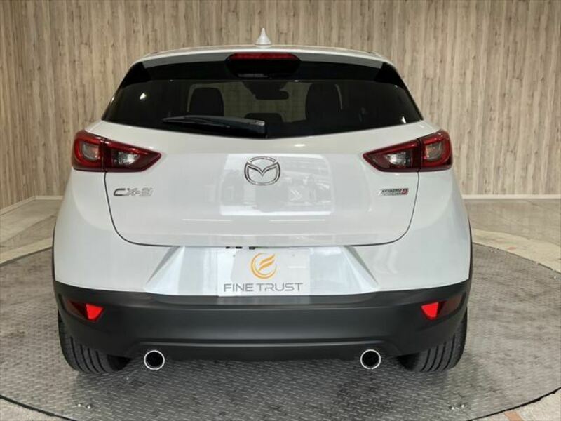 CX-3-15