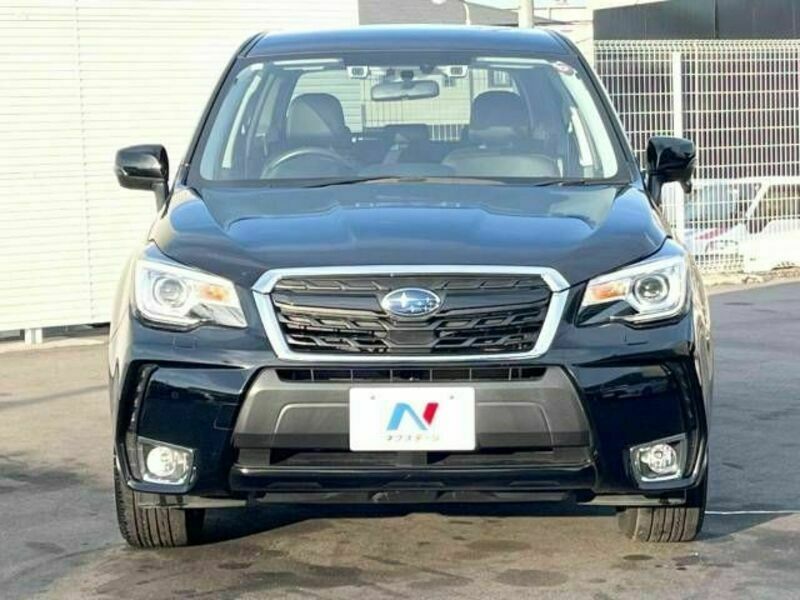 FORESTER-15