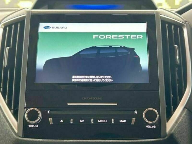 FORESTER-2