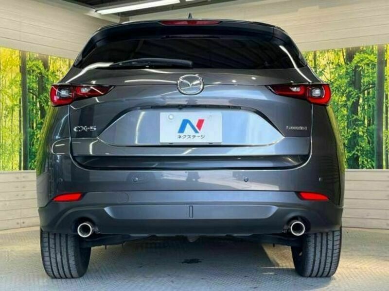 CX-5-15