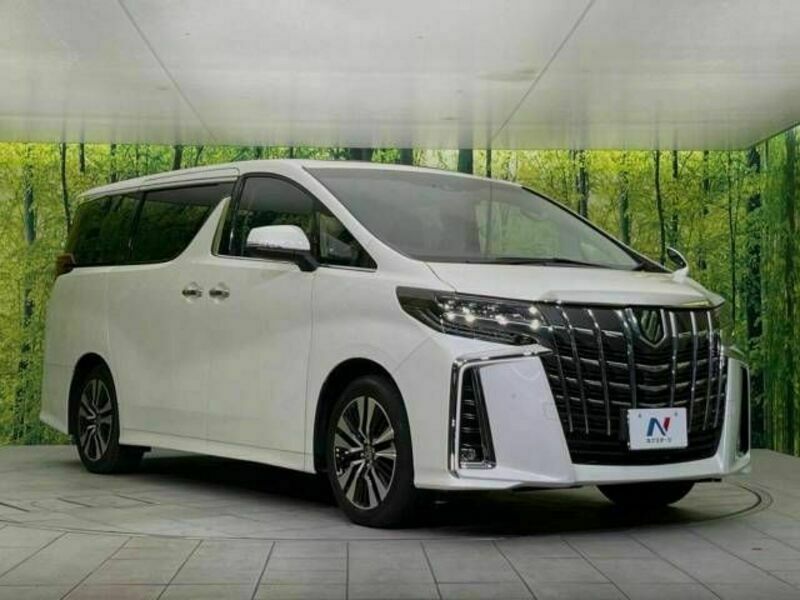 ALPHARD-17