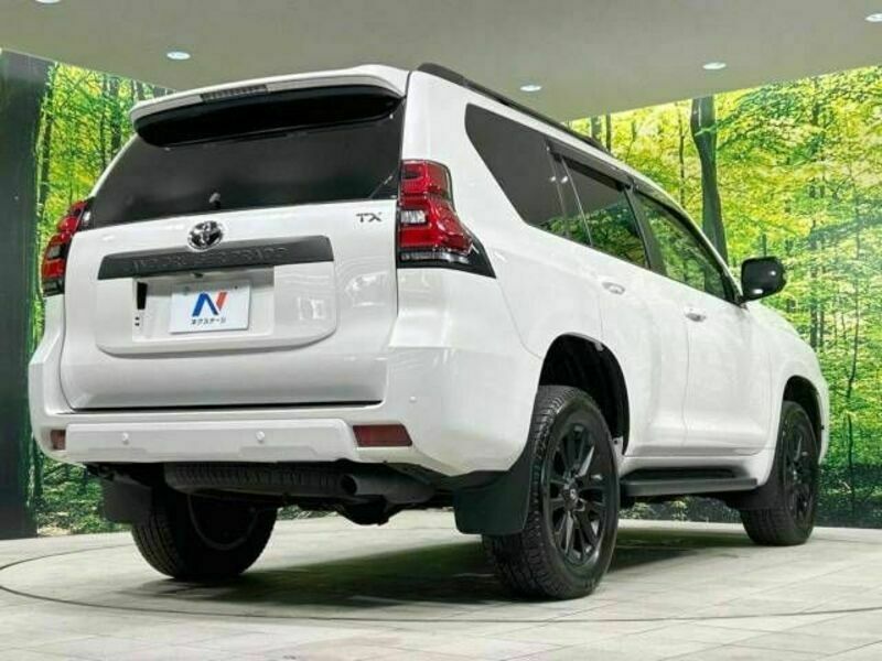 LAND CRUISER PRADO-17