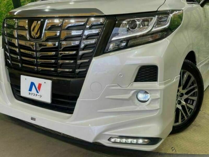 ALPHARD-13