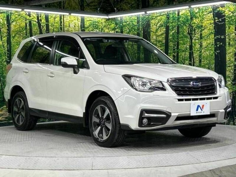 FORESTER-16