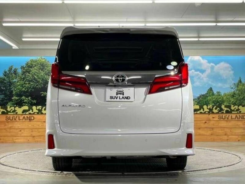 ALPHARD-15