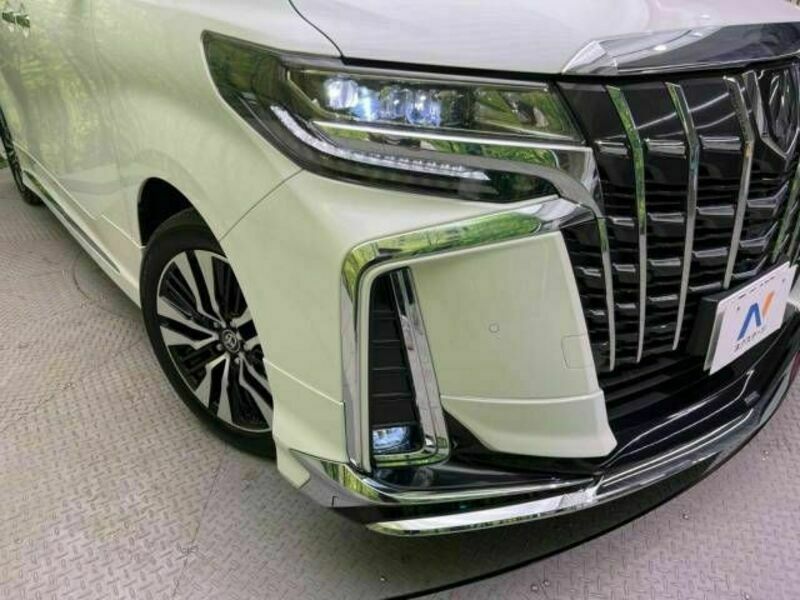 ALPHARD-13