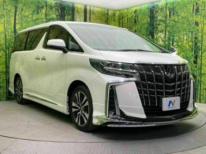 ALPHARD-17