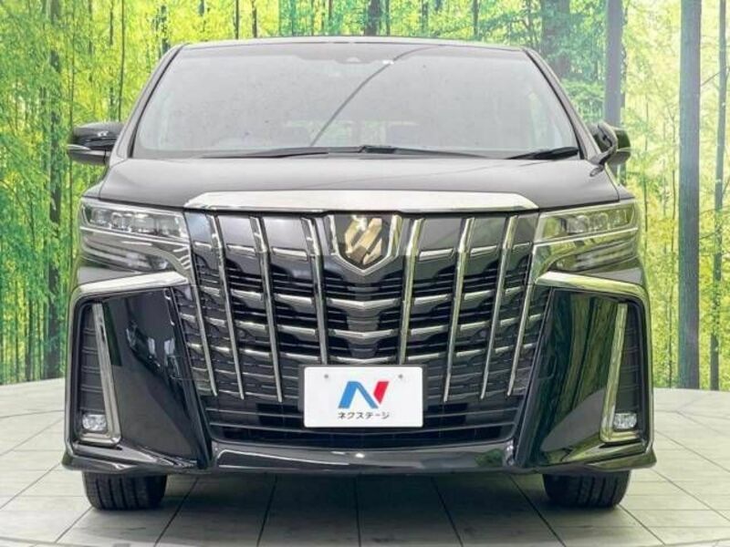 ALPHARD-15