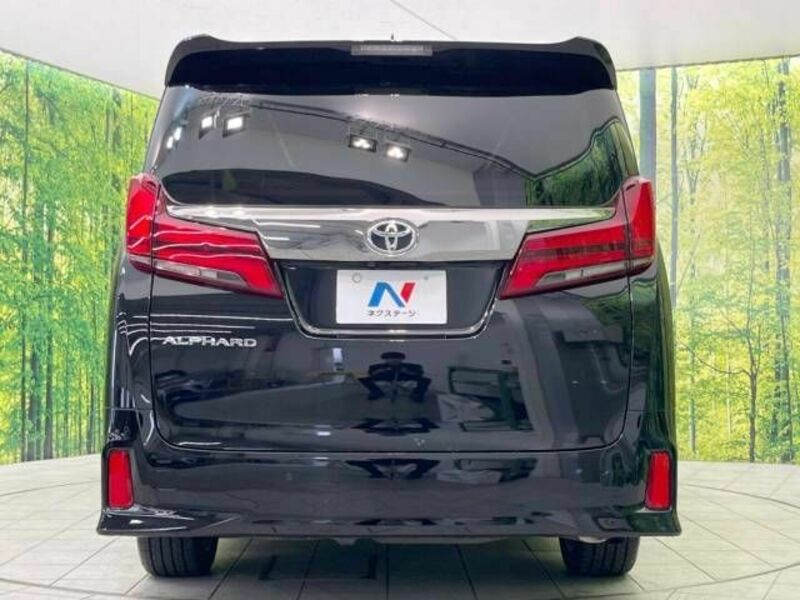 ALPHARD-16