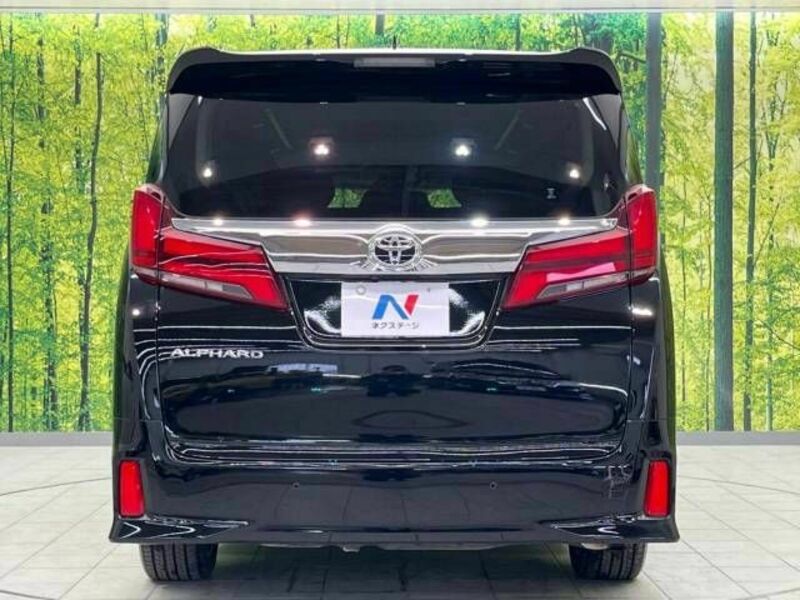 ALPHARD-16