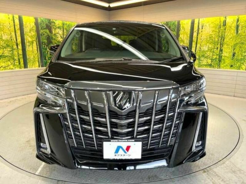 ALPHARD-15