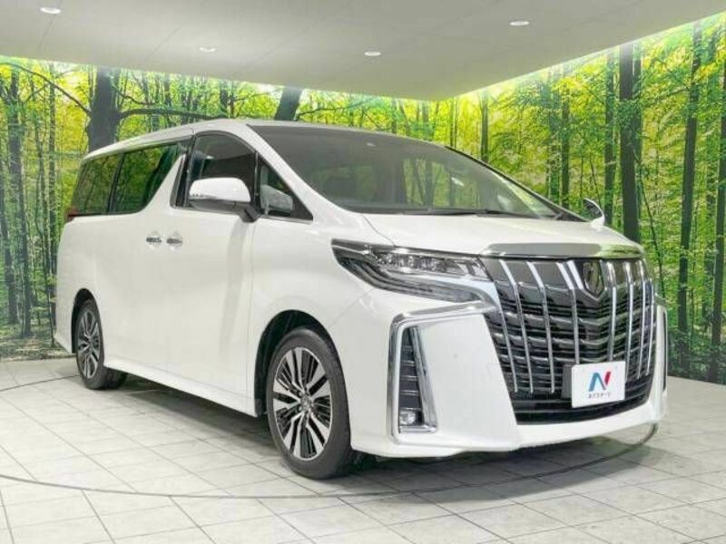 ALPHARD-16