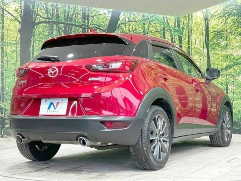 CX-3-17