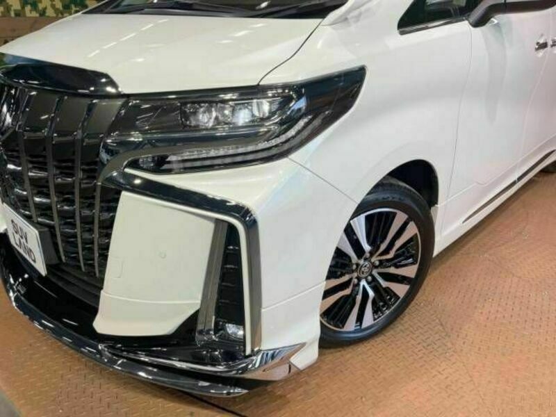 ALPHARD-13