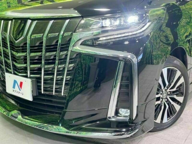 ALPHARD-13