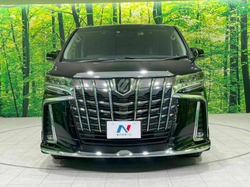 ALPHARD-15