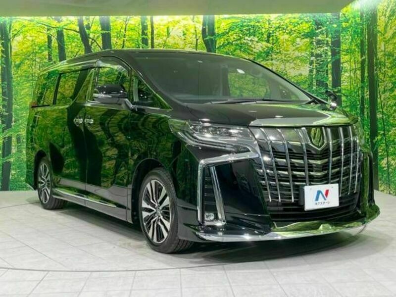 ALPHARD-17