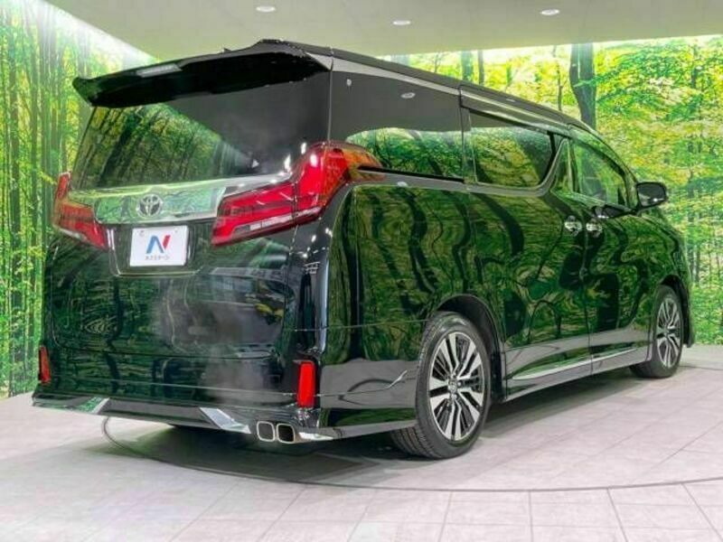 ALPHARD-18