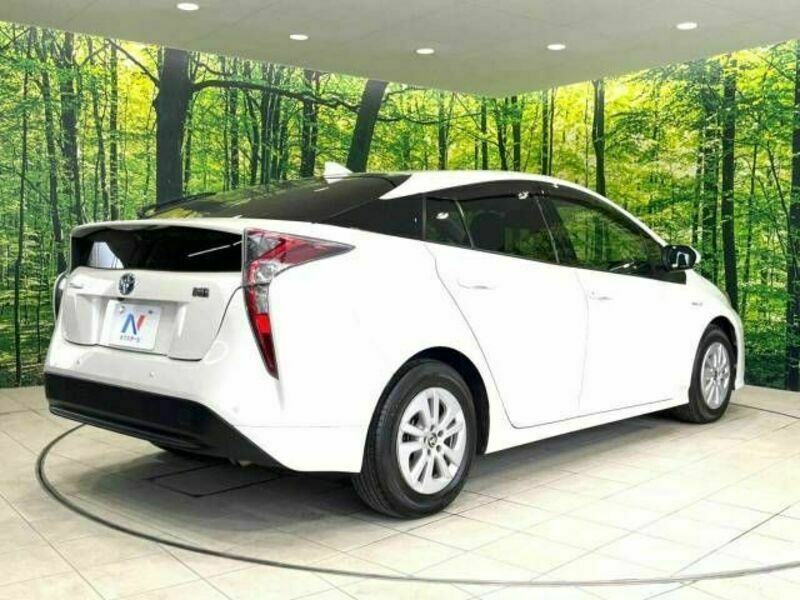 PRIUS-17