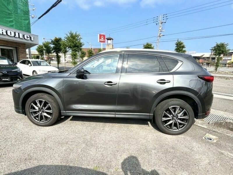 CX-5-3