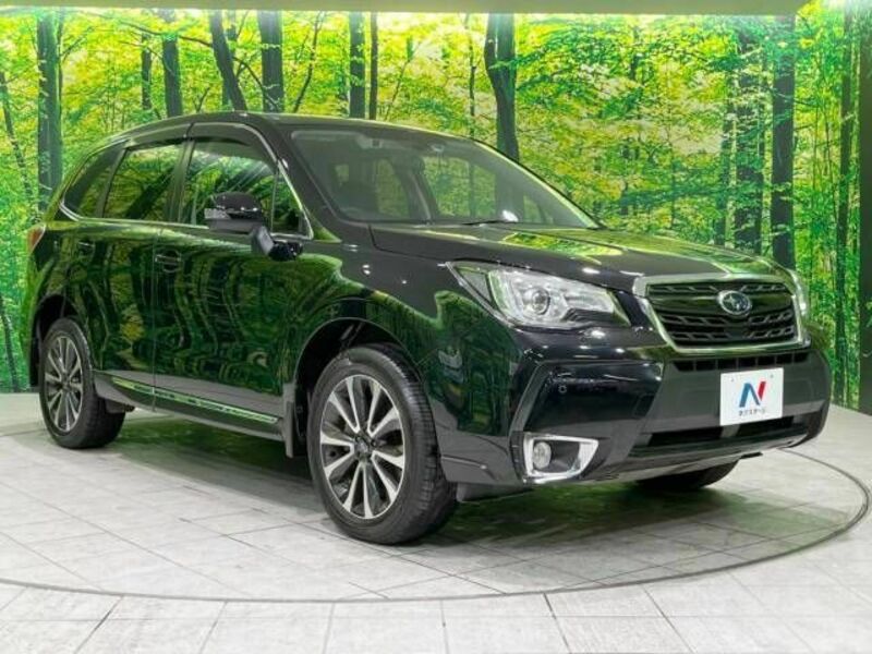 FORESTER-16