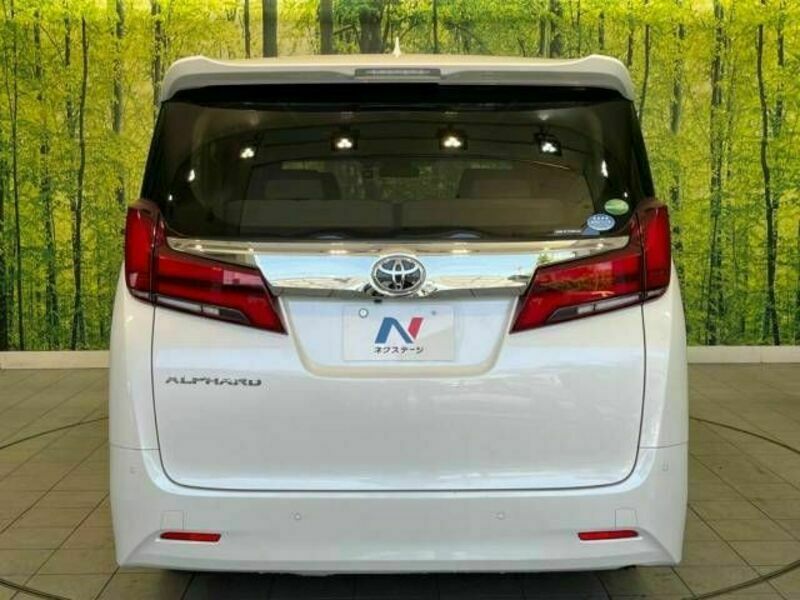 ALPHARD-15