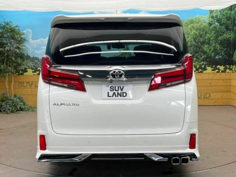 ALPHARD-16