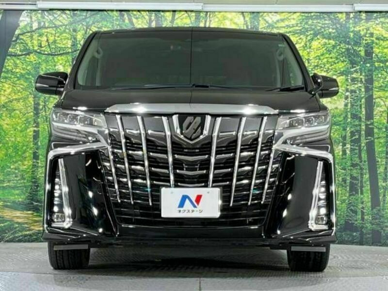 ALPHARD-15