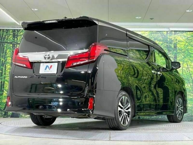 ALPHARD-18