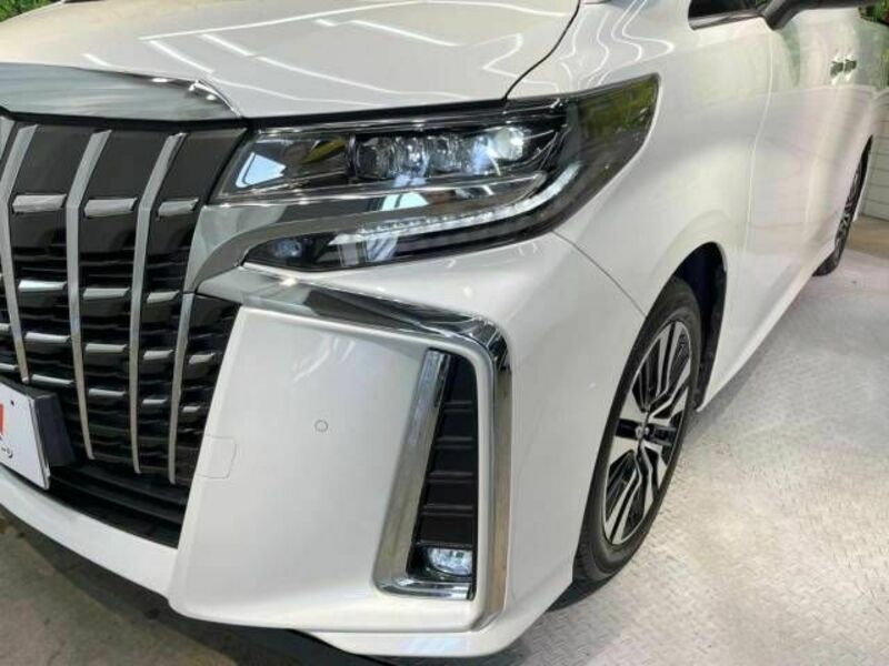 ALPHARD-13