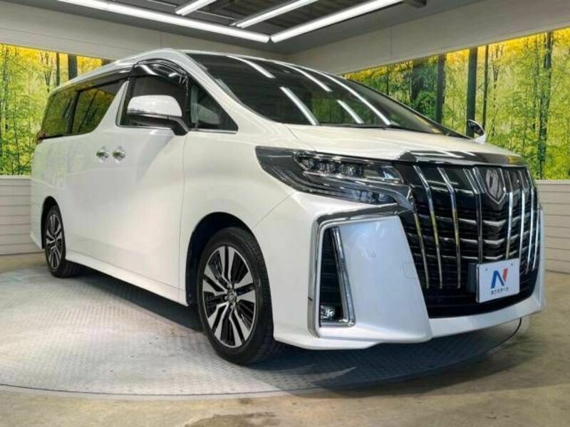 ALPHARD-17