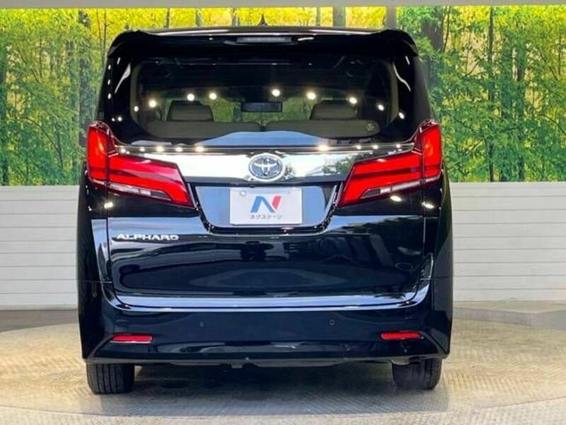 ALPHARD-16