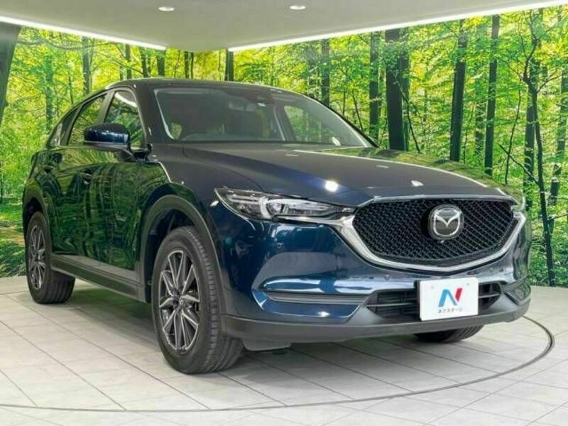 CX-5-16