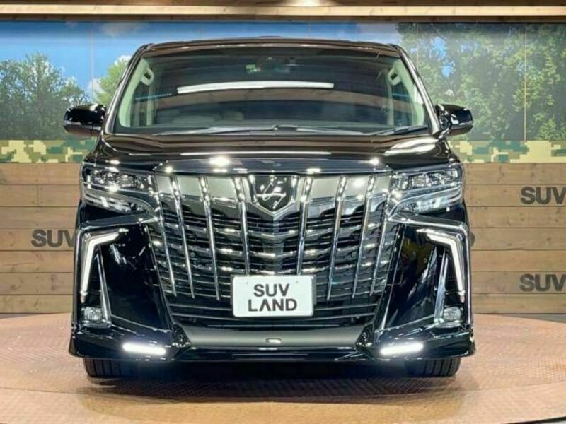 ALPHARD-19