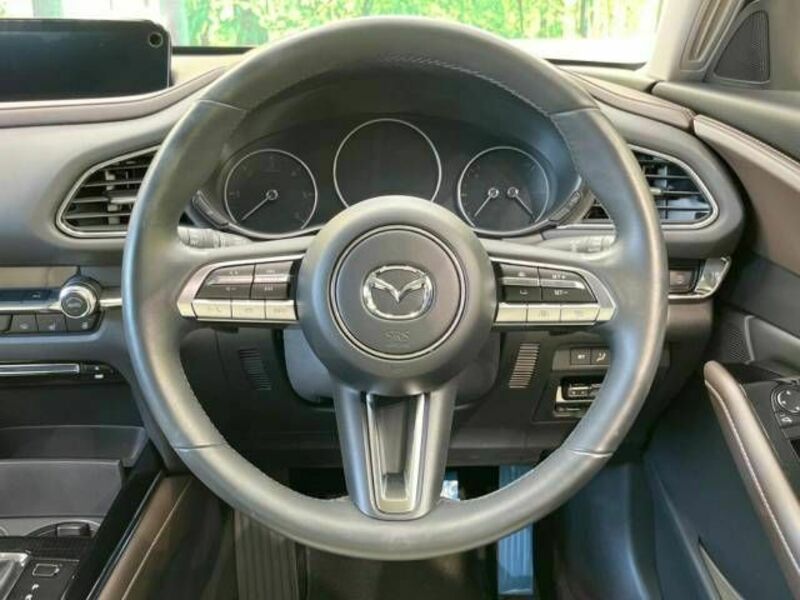 CX-30-11