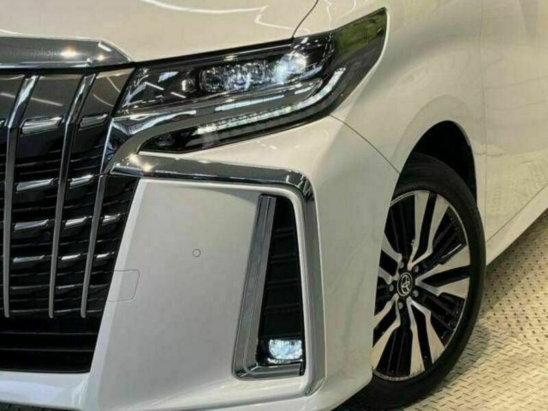 ALPHARD-12