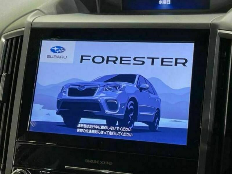 FORESTER-3