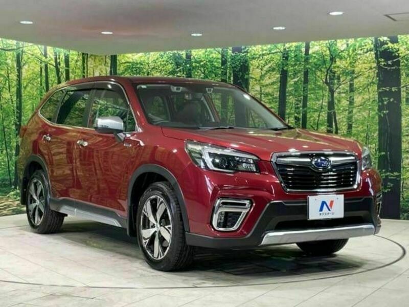 FORESTER-16