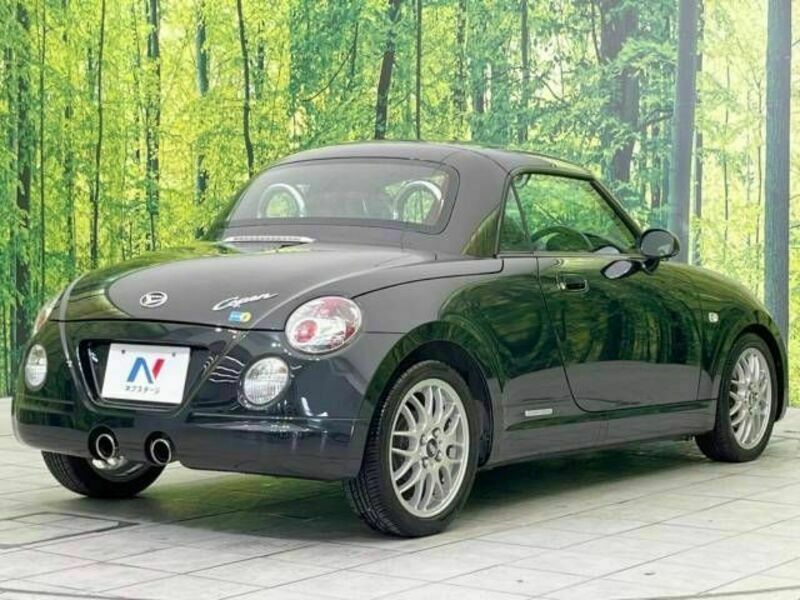 COPEN-17