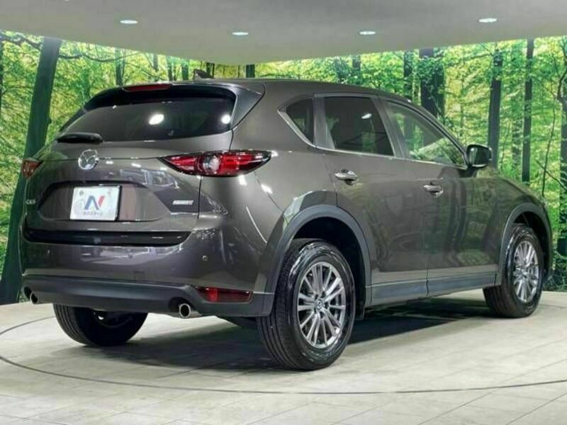 CX-5-17