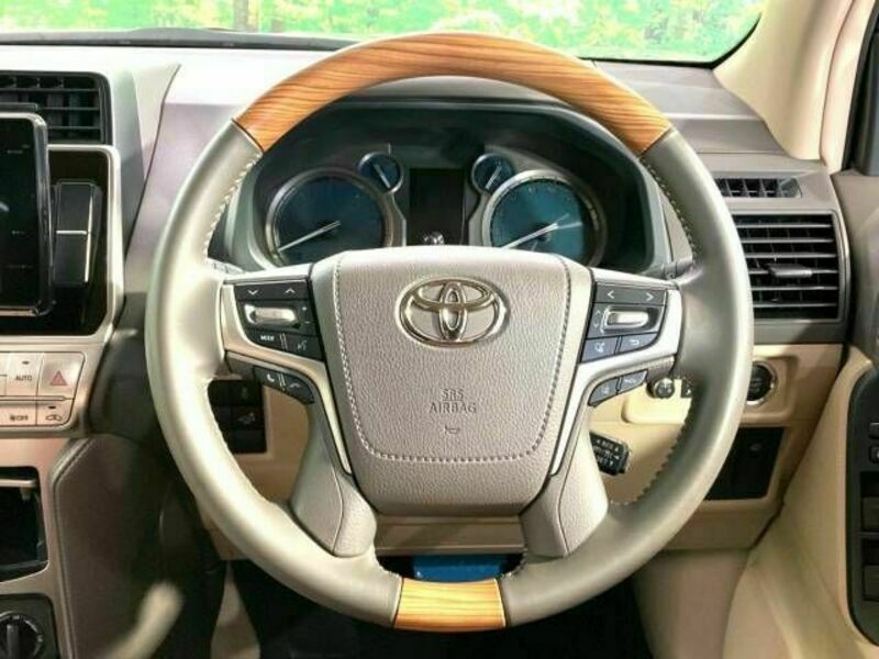 LAND CRUISER PRADO-13