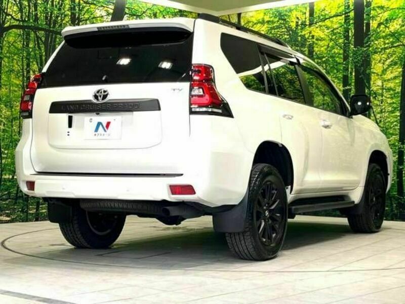 LAND CRUISER PRADO-18