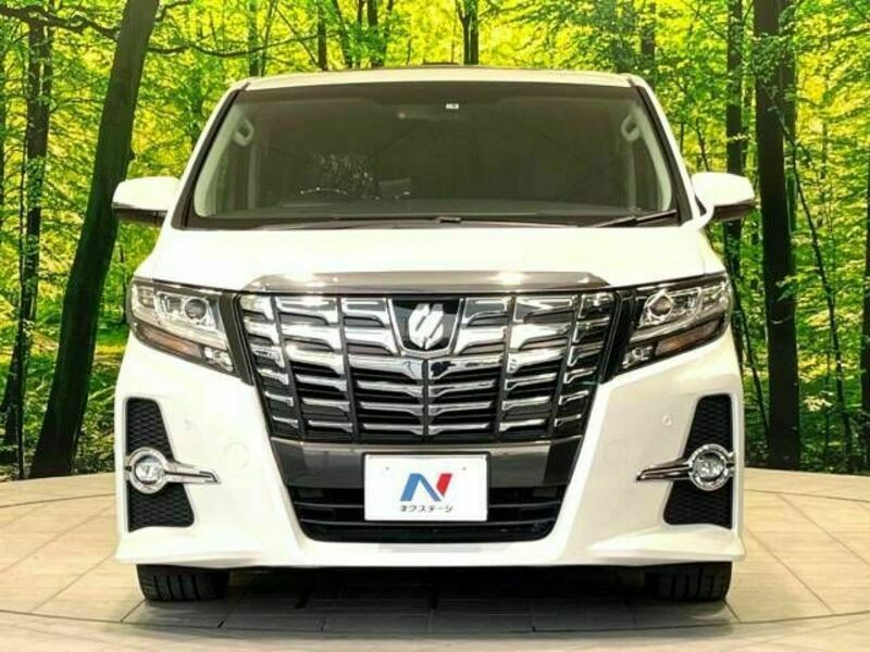 ALPHARD-15