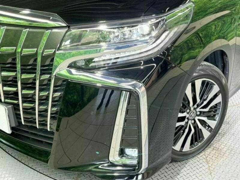 ALPHARD-13