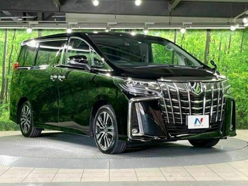 ALPHARD-17