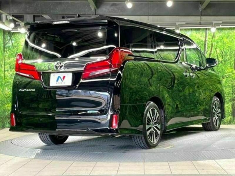 ALPHARD-18