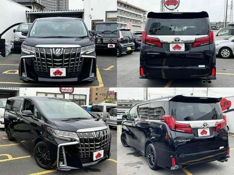 ALPHARD-8